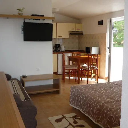 Apartment Ivana *